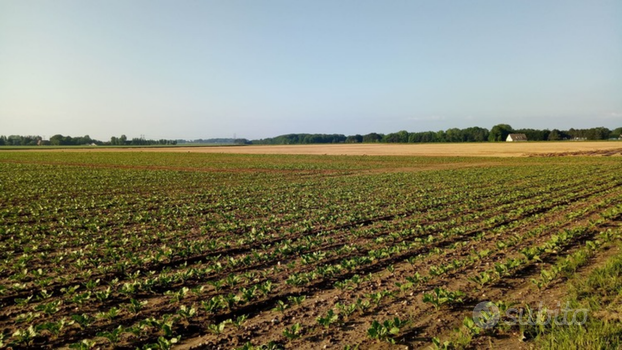 Terreno Agricolo