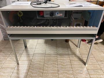 Camera calda per pulcini