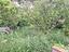 Immagine 12