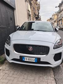 Jaguar e pace