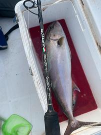 Canna artico fast jigging