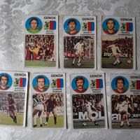 Lotto 7 Figurine Calciatori Panini 1976-77 GENOA