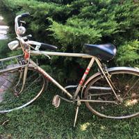Bicicletta con la canna vintage