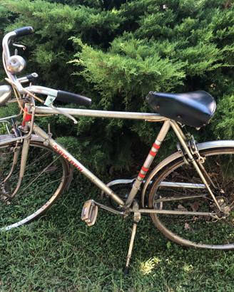 Bicicletta con la canna vintage