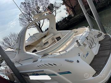 Sealine 360 ambassador