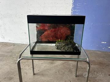 Acquario 