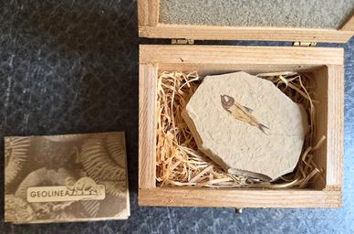 Fossile