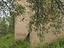 Immagine 27