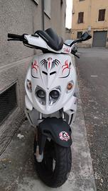 Malaguti phantom