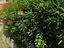 Immagine 22