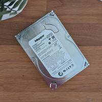 Hard Disk Maxtor 160gb