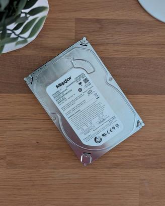 Hard Disk Maxtor 160gb
