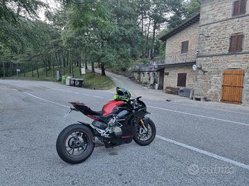 carenature panigale v4