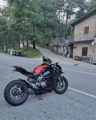 carenature panigale v4
