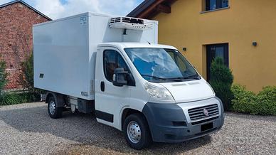Ducato Cella Frigo Isotermica con ATP