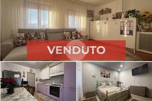 5 LOCALI A COLOGNOLA AI COLLI