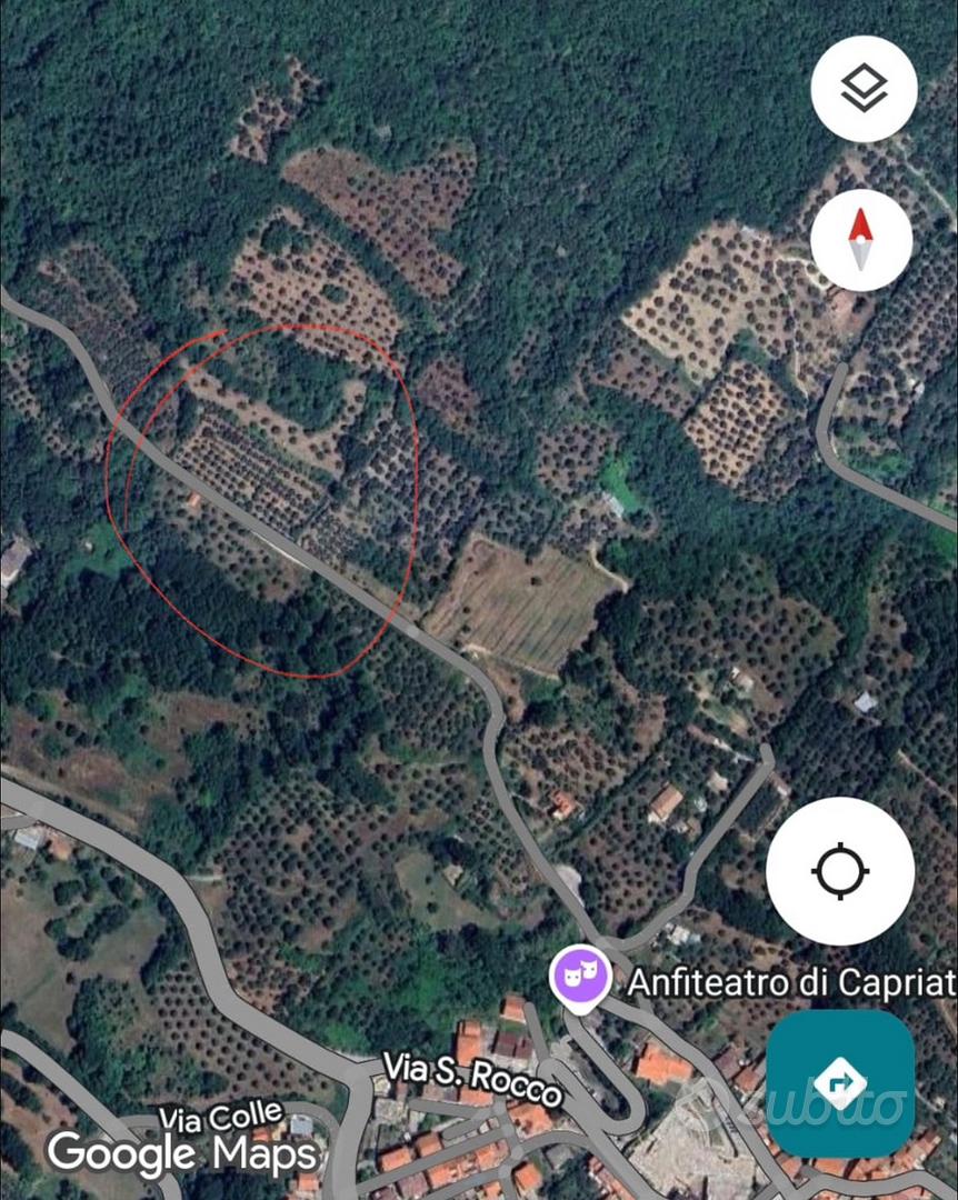 Terreno con olive Capriati a Volturno - Vista 2