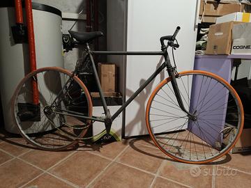 bicicletta Robur