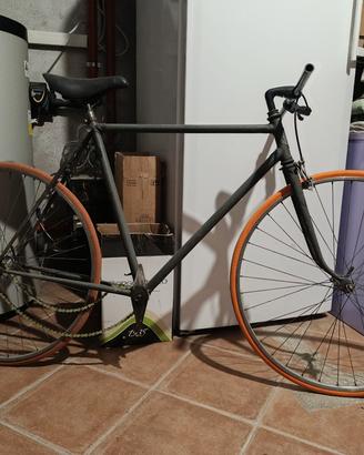 bicicletta Robur