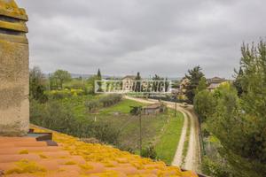 Terreno edificabile a metà strada tra Trodica e Mo