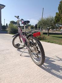 bicicletta ragazzina 