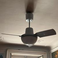 Ventilatori a soffitto Vortice, velocità regolabil