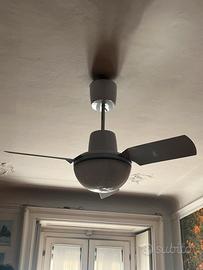 Ventilatori a soffitto Vortice, velocità regolabil