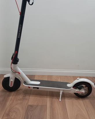 Monopattino elettrico 250w