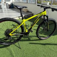 Bici 29 carbonio