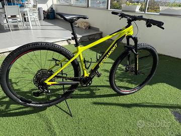 Bici 29 carbonio