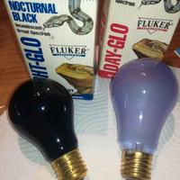 Lampada riscaldante ad incandescenza