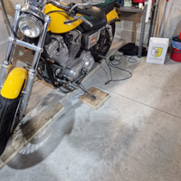 Harley -Davidson 883