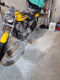 Harley -Davidson 883