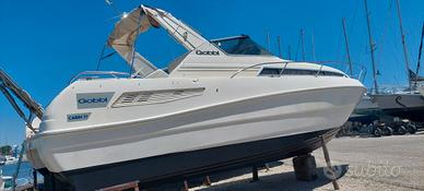barca gobbi 31cabin 