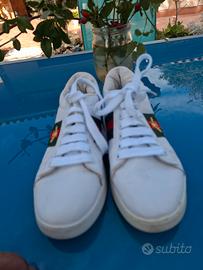 sneakers donna Gucci tg 37 