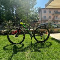 Bicicletta MTB Snake BRIDER