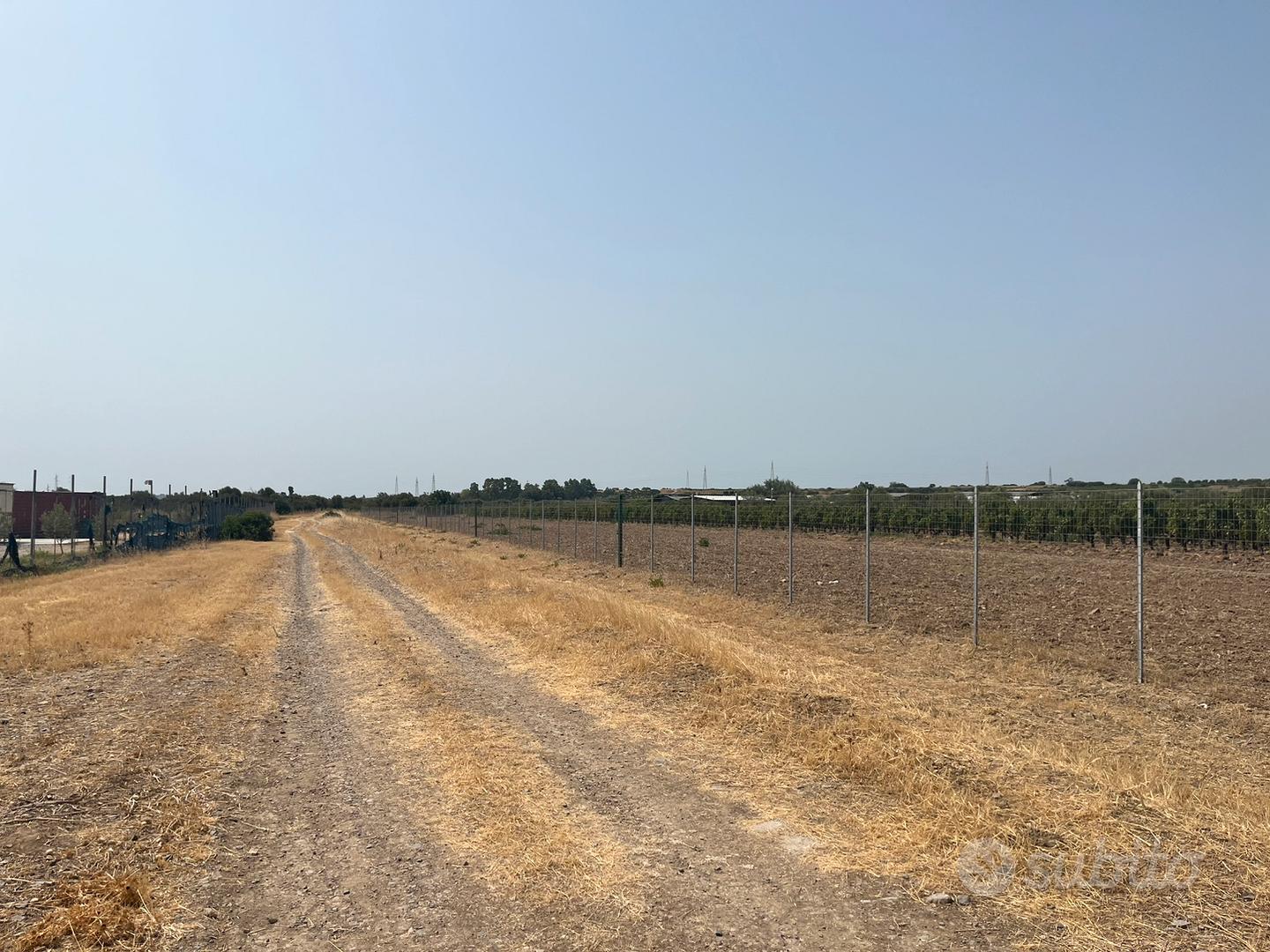 Terreno agricolo Maracalagonis - Vista 4