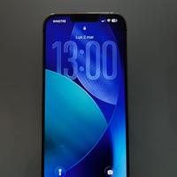 Iphone 13 pro max 256 gb