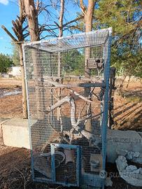 Gabbia per uccelli o pappagalli