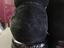 Immagine 5