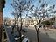 Immagine 10