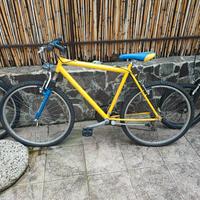  coppia  Mountain bike