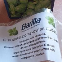 Barilla Semi di Basilico Pesto Genovese Originali