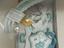 Immagine 2