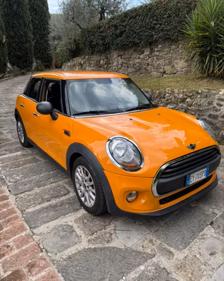 Mini One