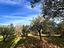 Immagine 9