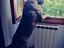 Immagine 5