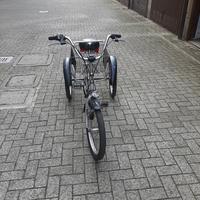 triciclo con cesto posteriore
