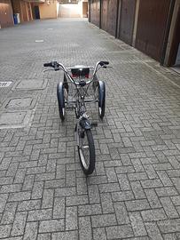 triciclo con cesto posteriore