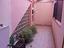 Immagine 19